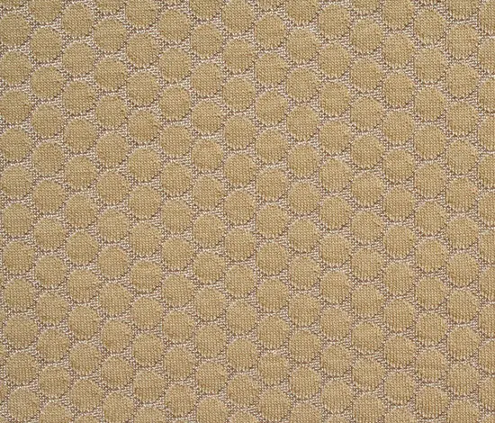 Innofa - Dot Camel