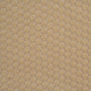 Dot Camel