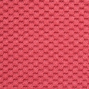 Dotty Earth