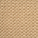 Dotty Camel