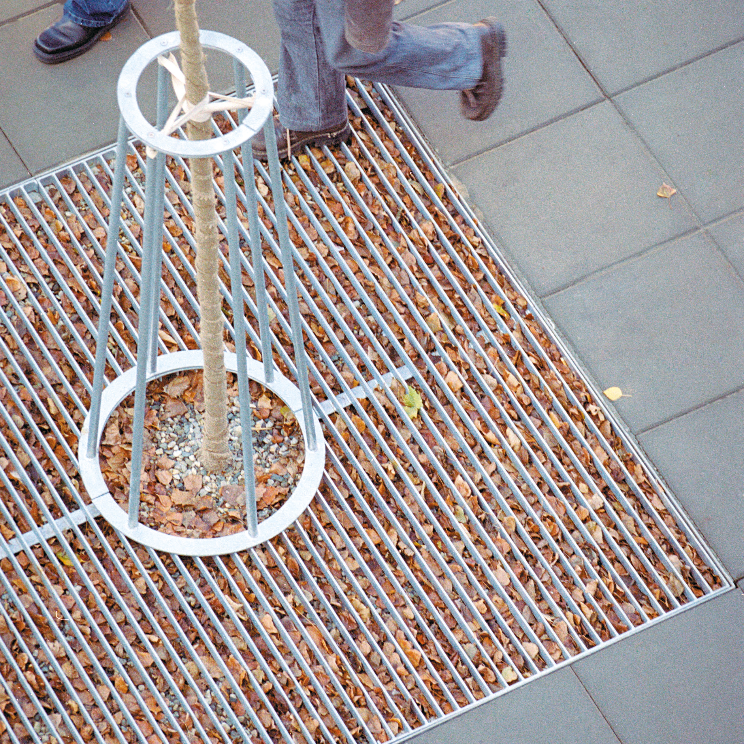 Display product arbottura | Tree guard from manufacturer mmcité