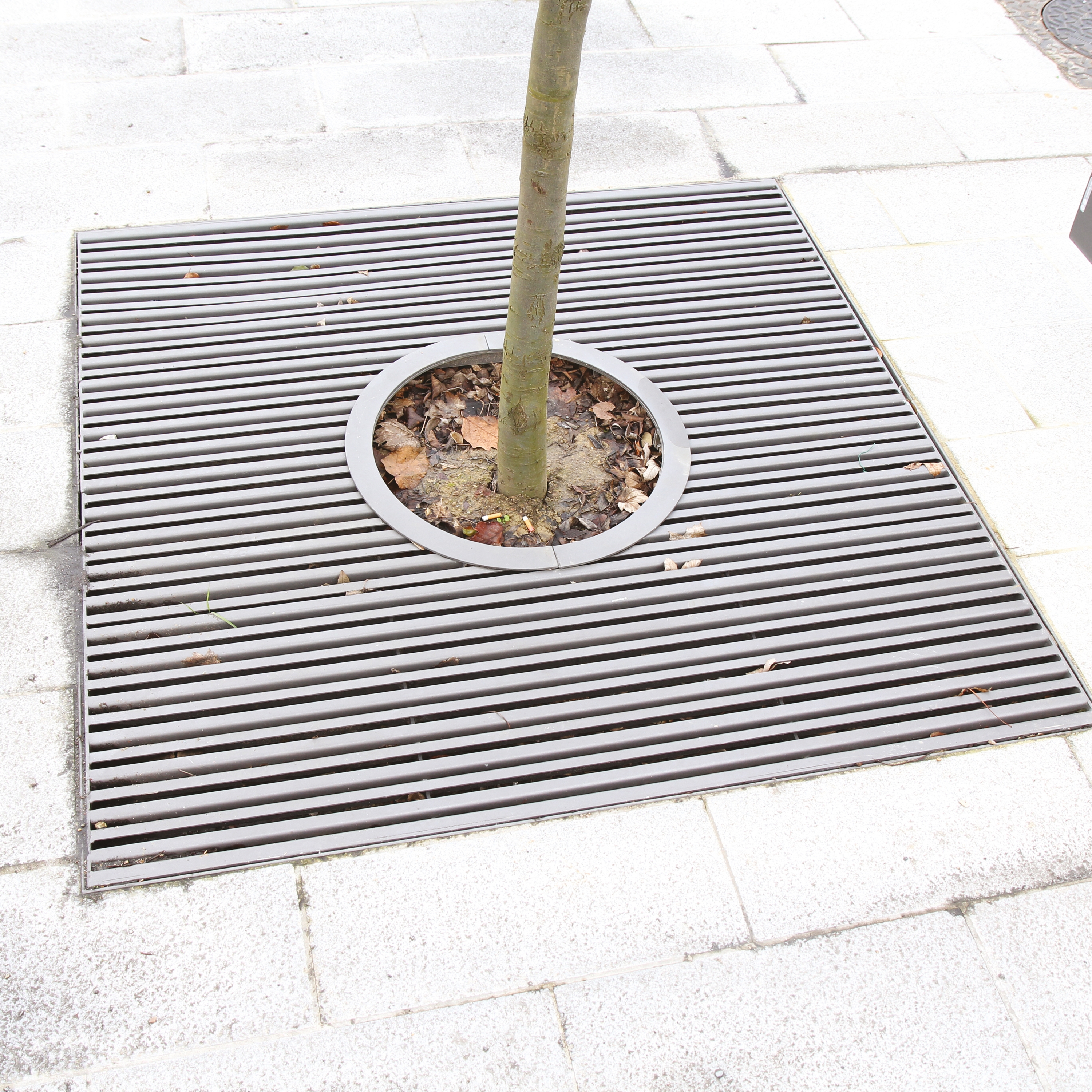Display product arbottura | Tree guard from manufacturer mmcité