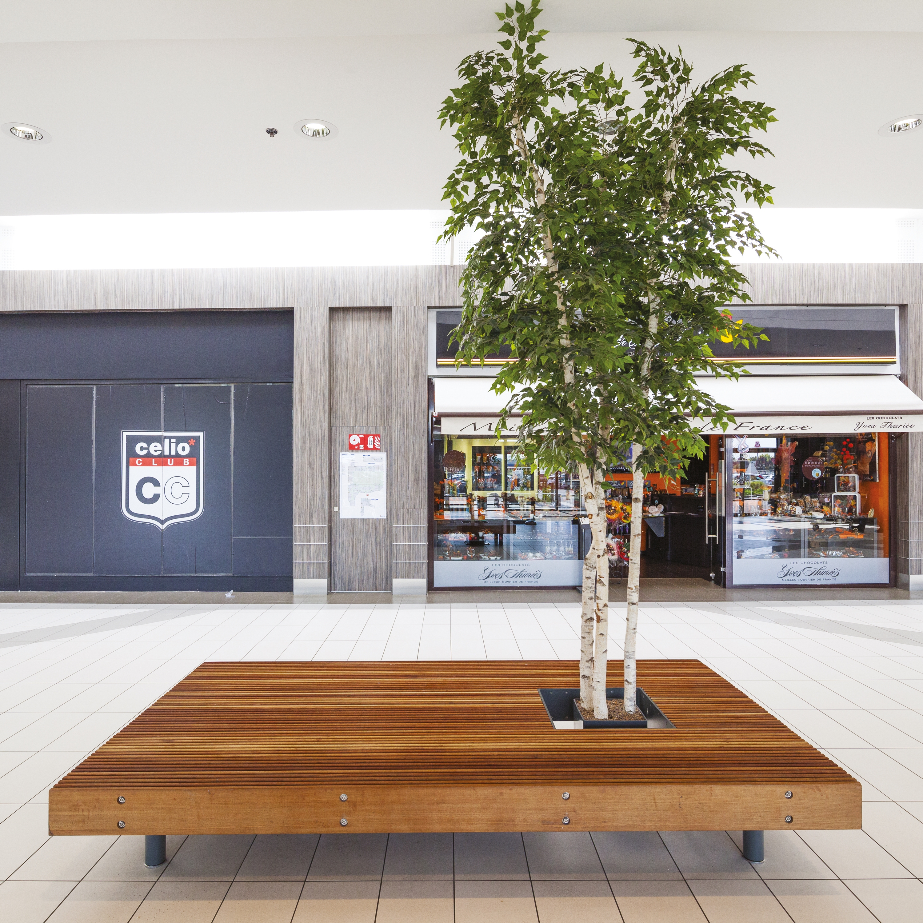 woody | Parkbank
