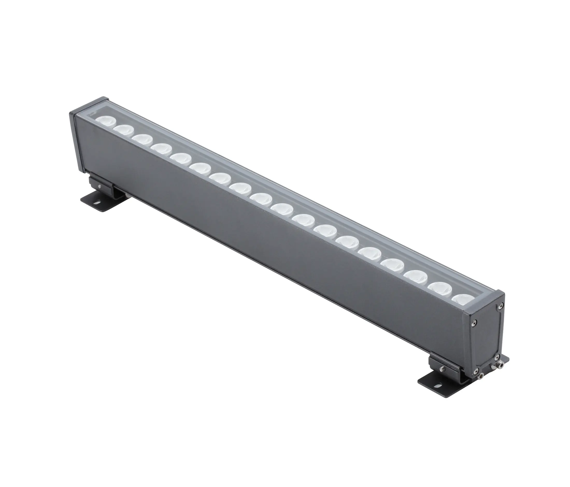 Paviom - Lentus LS401