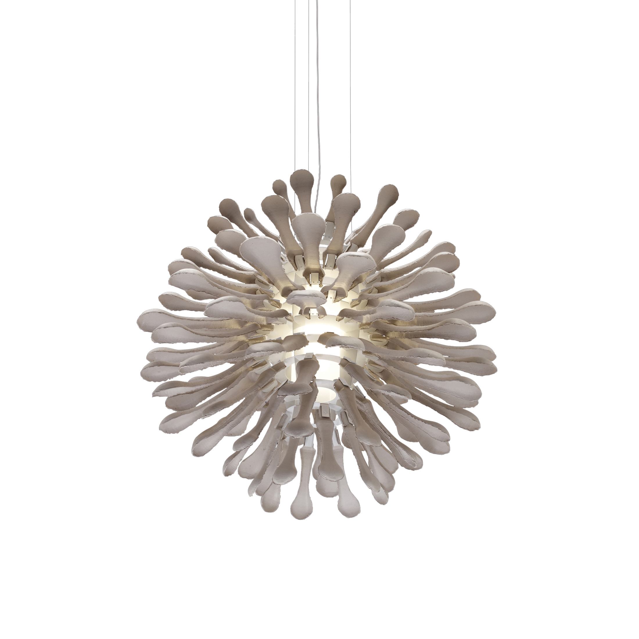 Vertoon produk Strombilus van vervaardiger Paviom