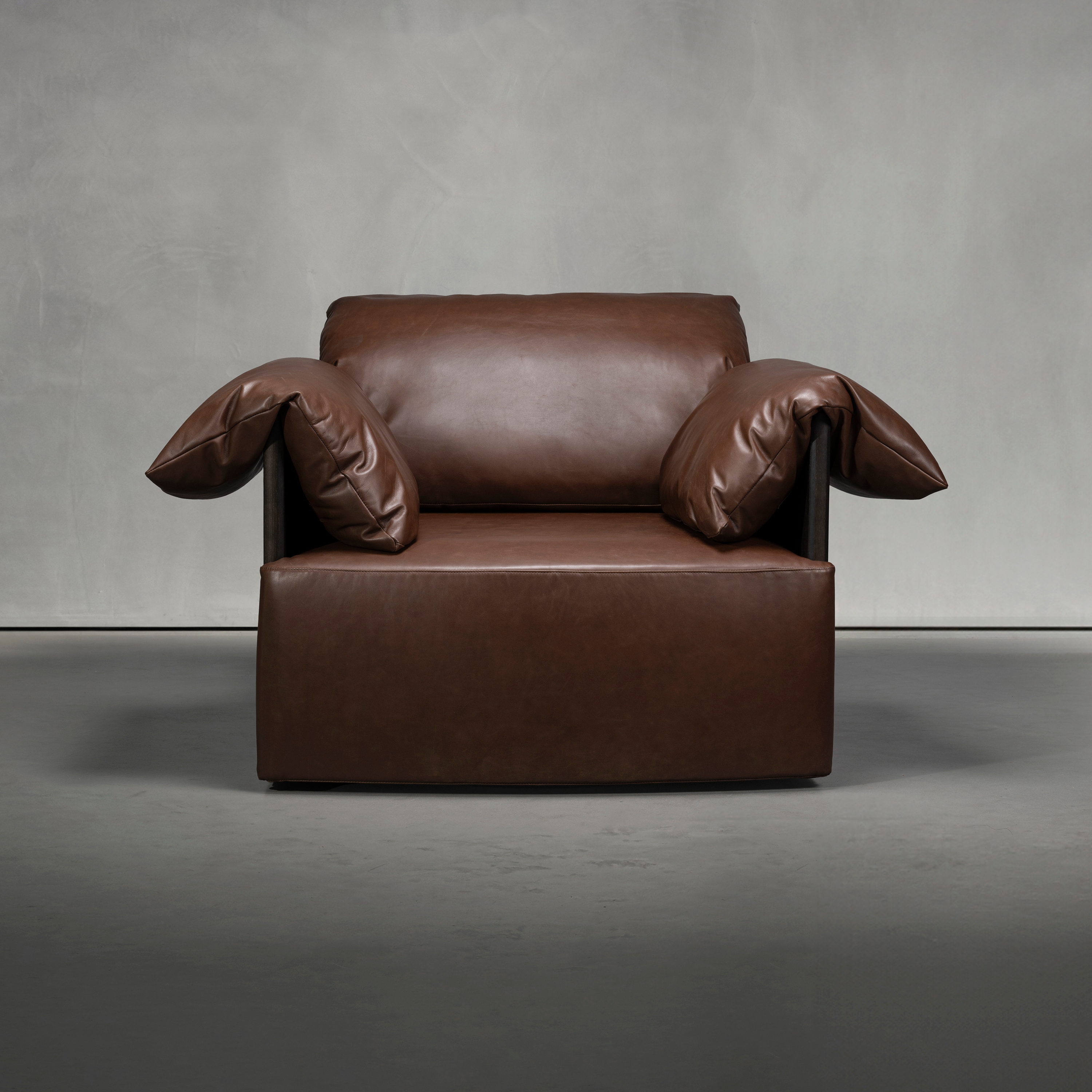 Mostrar el producto HUGO armchair del fabricante Piet Boon