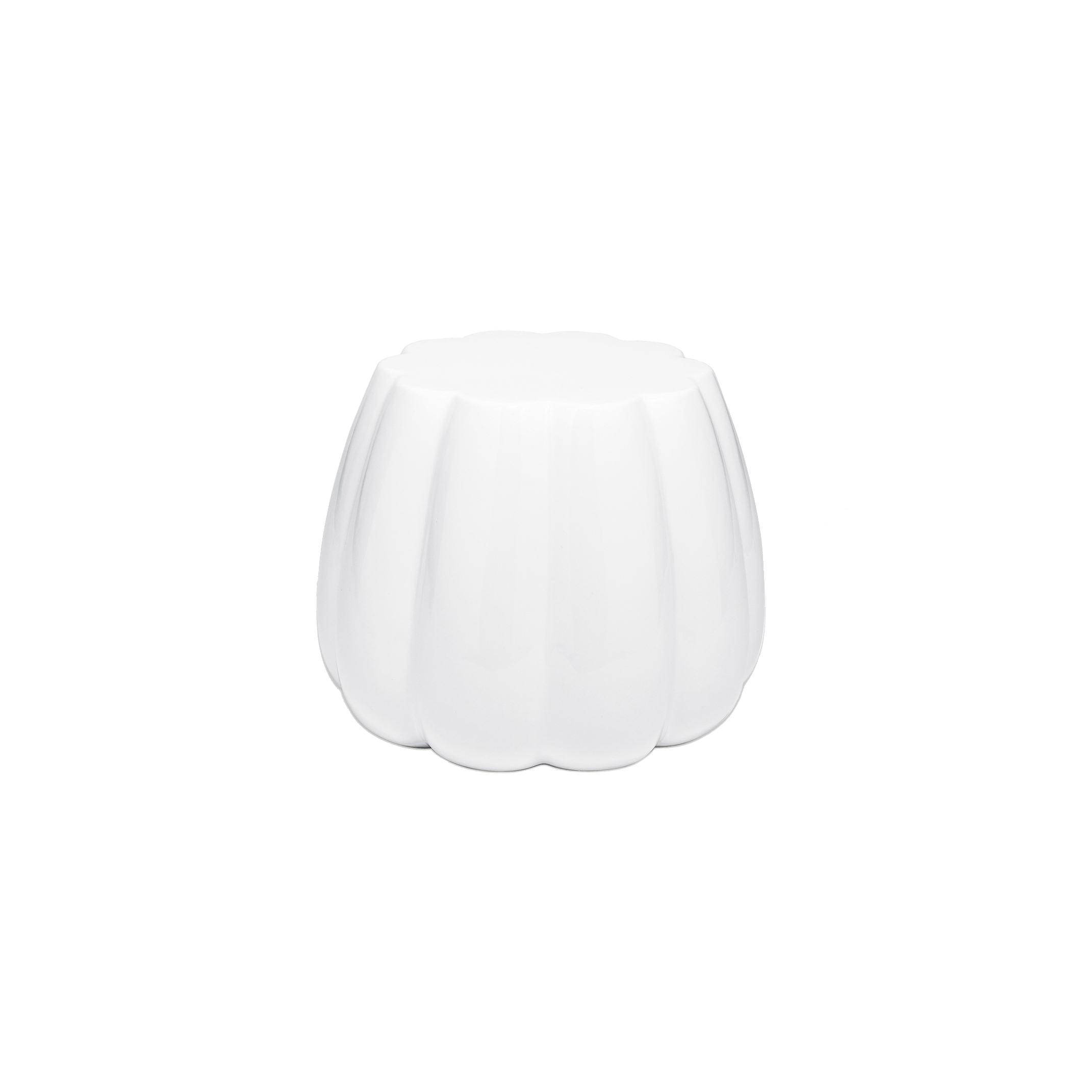 Display product Oppiacei Senecio Cineraria white from manufacturer Skitsch by Hub Design