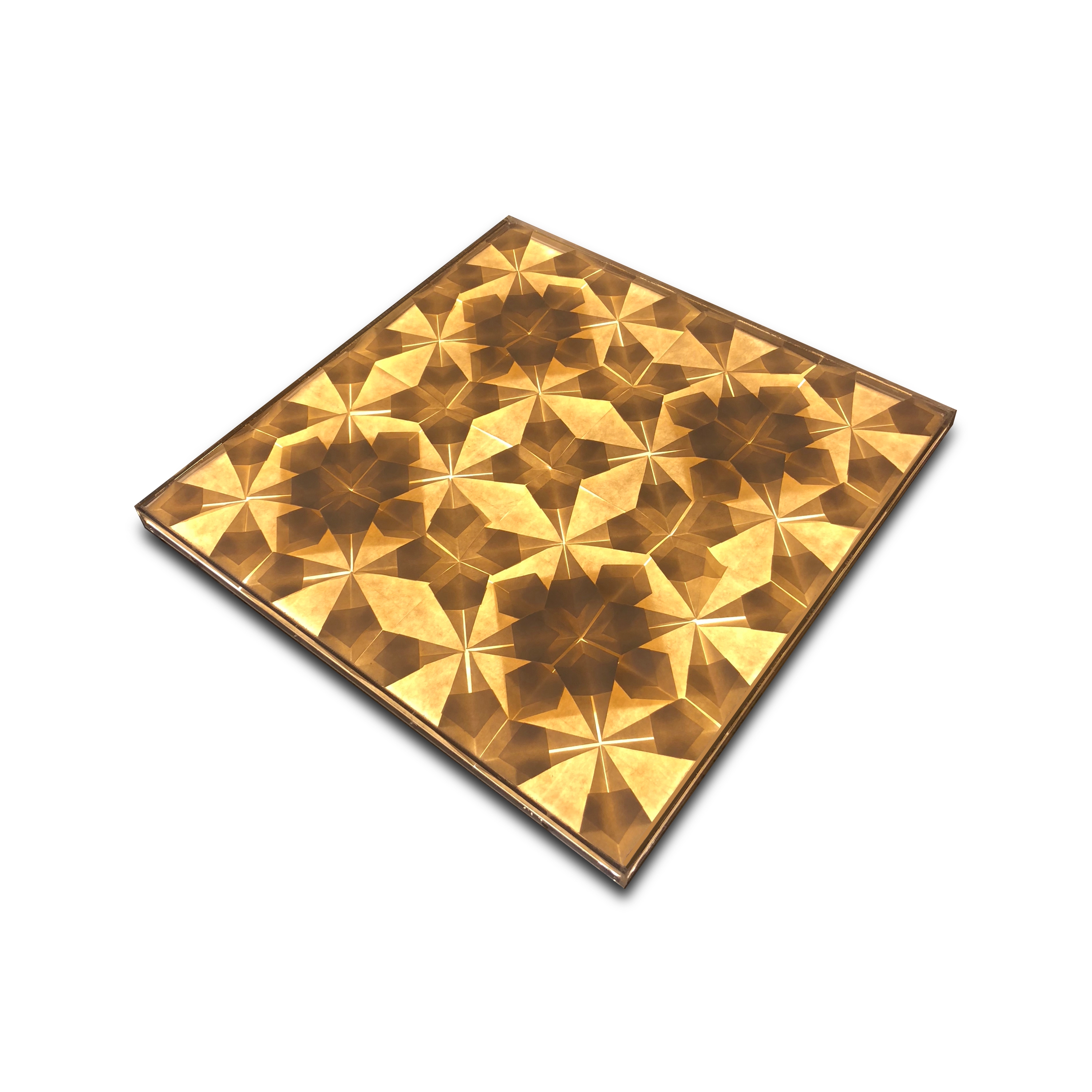 Origamilight II Module