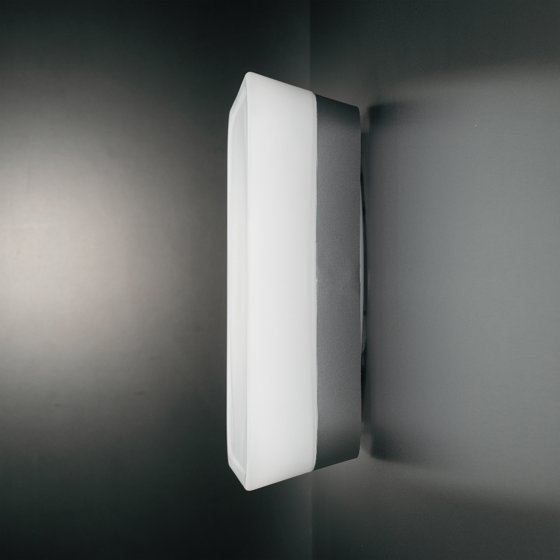 Grifo IP 44 Luminaire murau