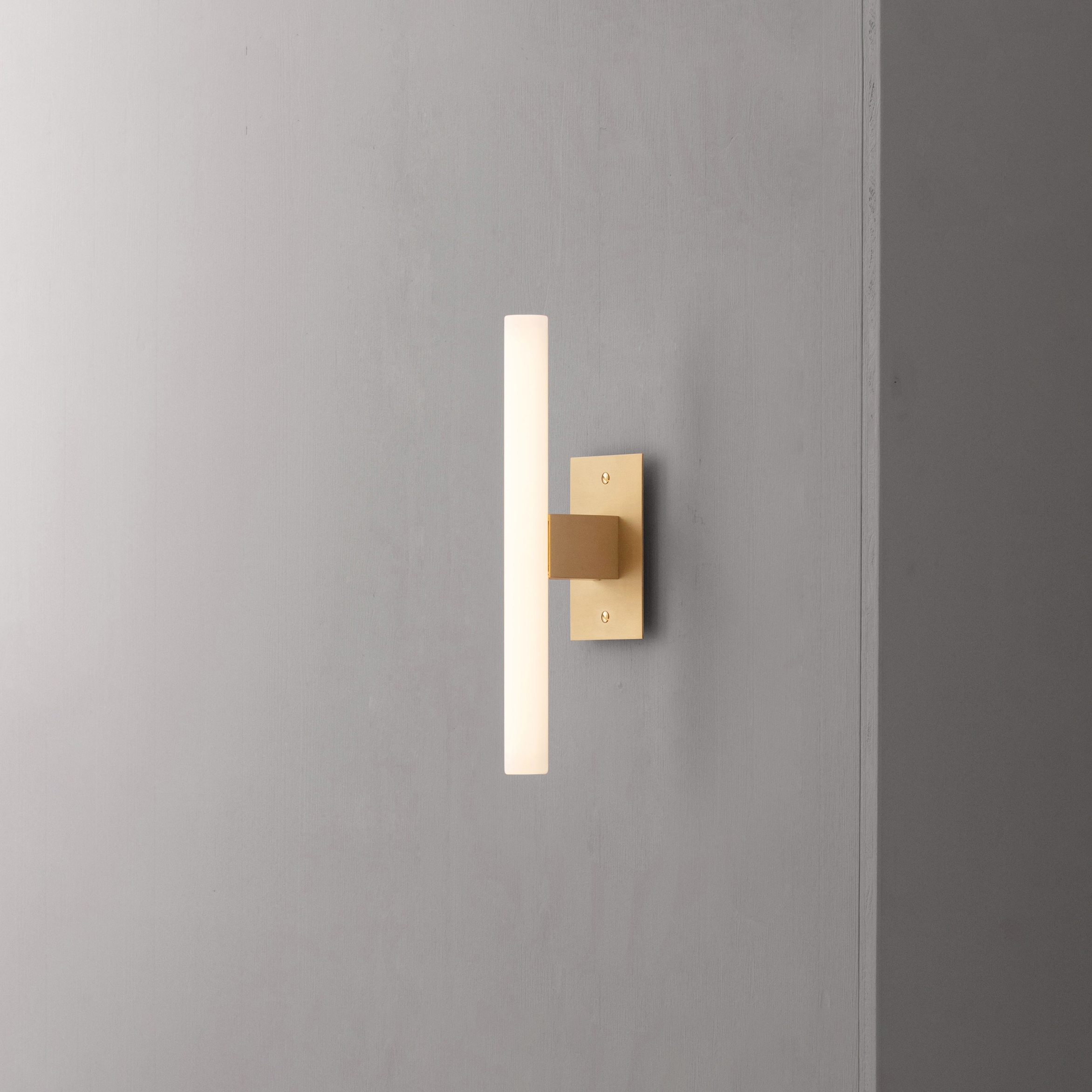 Mostrar el producto NEA Wall / Ceiling Plate 30 del fabricante KAIA