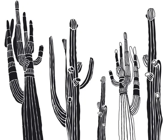 Wall&decò - Desert Spirit