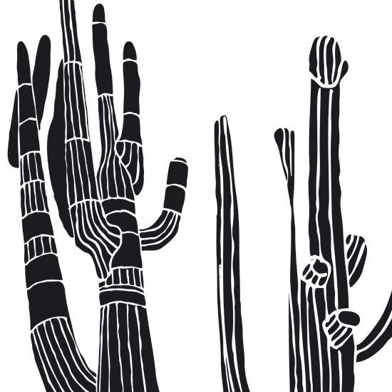 Afficher le produit Desert Spirit du fabricant Wall&decò