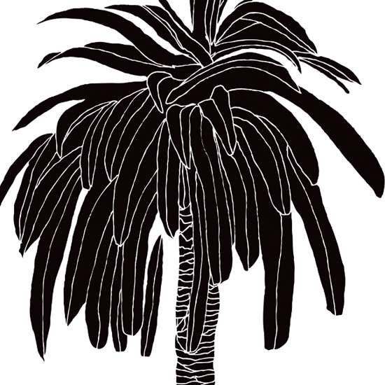 Mostra il prodotto Hula Coconut del produttore Wall&decò