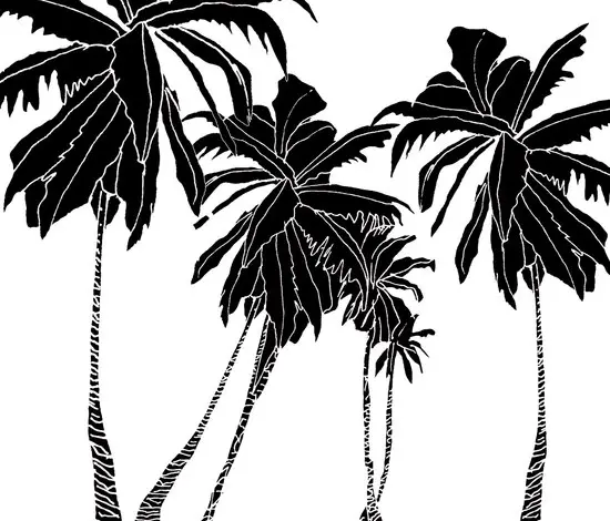 Wall&decò - Hula Coconut