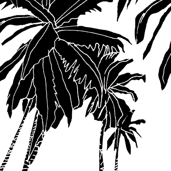 Display product Hula Coconut from manufacturer Wall&decò