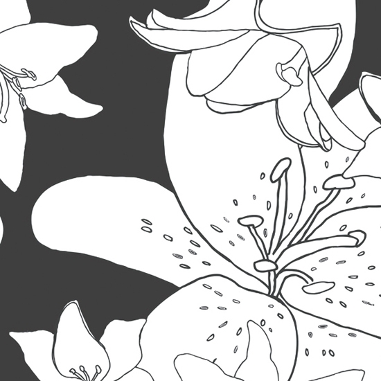 Lily