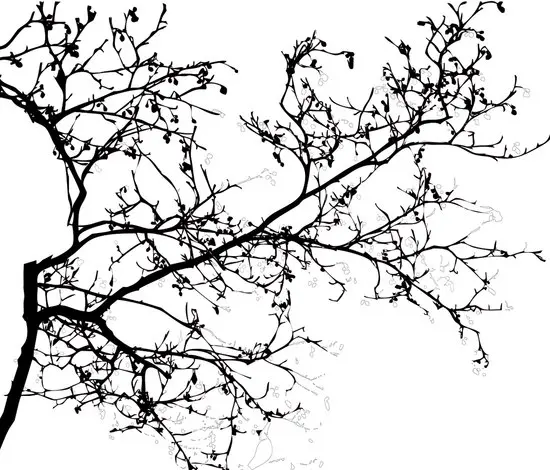 Wall&decò - Spring Blossom