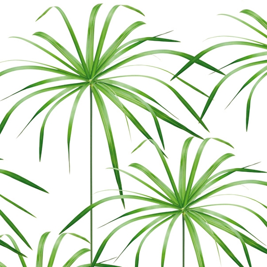 Display product Chill from manufacturer Wall&decò