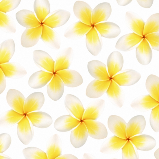 Afficher le produit Flos du fabricant Wall&decò