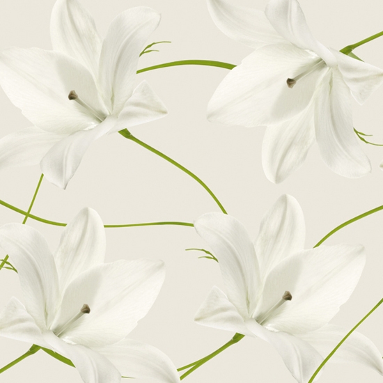 Afficher le produit Flos du fabricant Wall&decò