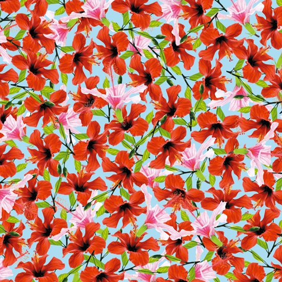 Produkt Tropics des Herstellers Wall&decò anzeigen