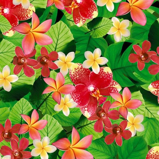 Vertoon produk Tropics van vervaardiger Wall&decò