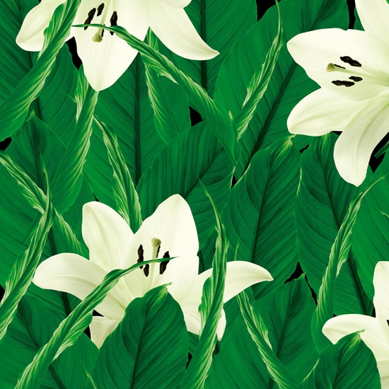 Afficher le produit Tropics du fabricant Wall&decò