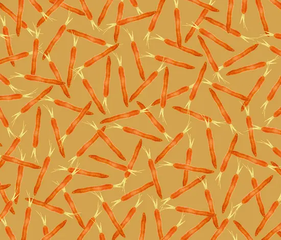 Wall&decò - Neo Barock