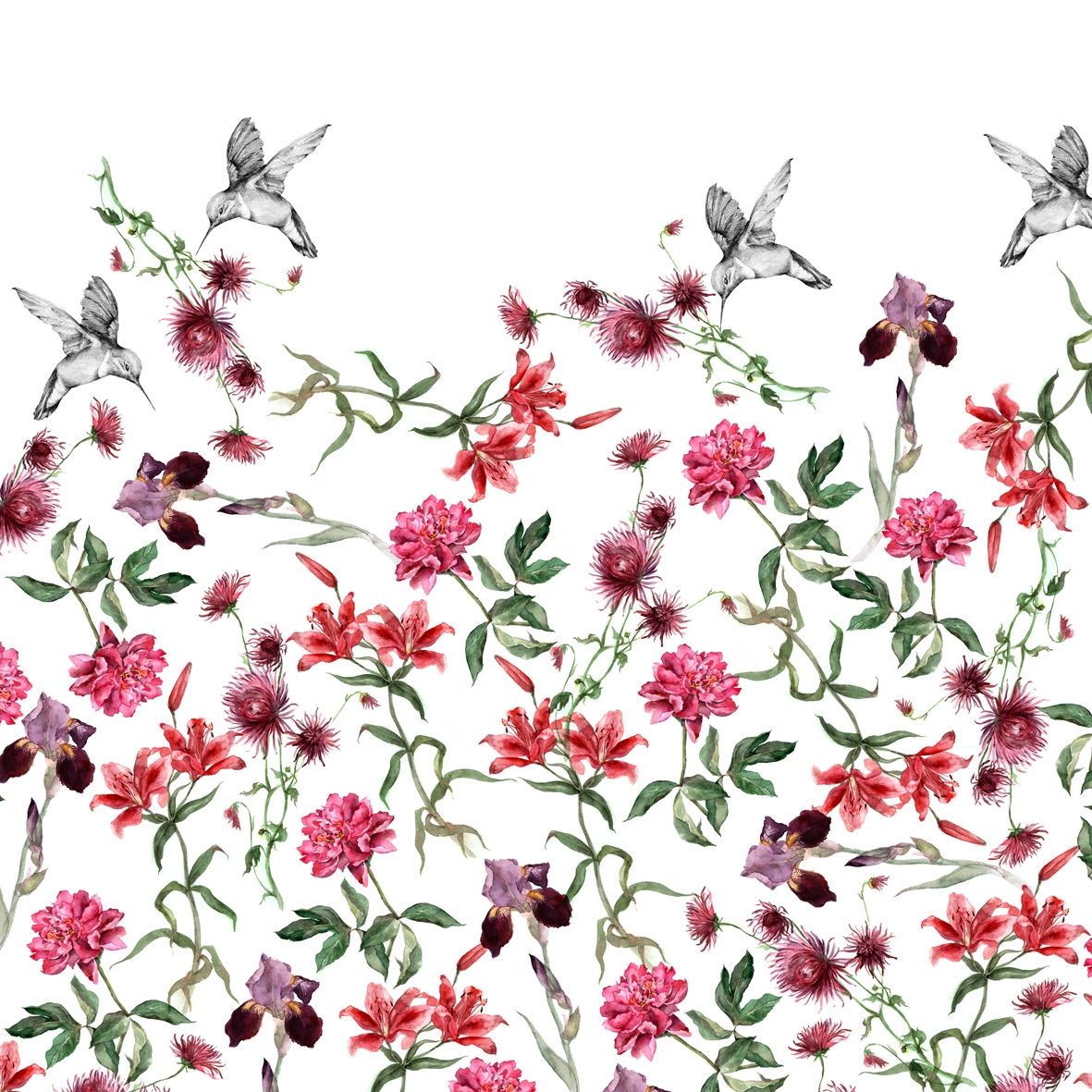 Colibreeze