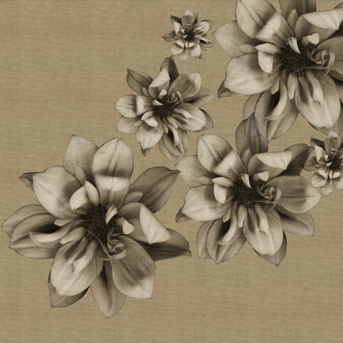 Flowers Poetry