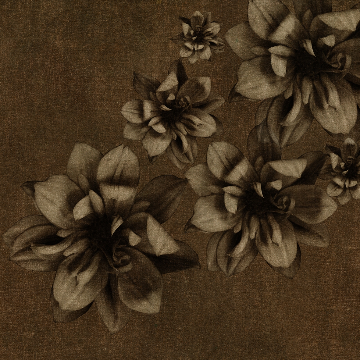 Display product Flowers Poetry from manufacturer Wall&decò