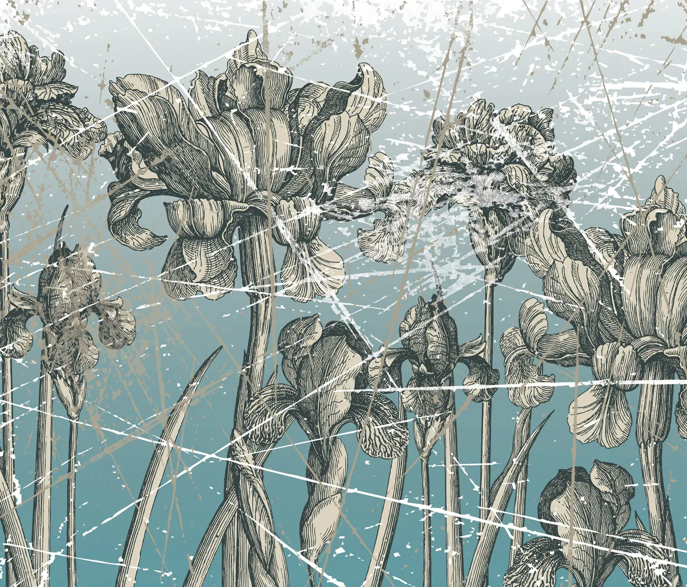 Wall&decò - Herbarium