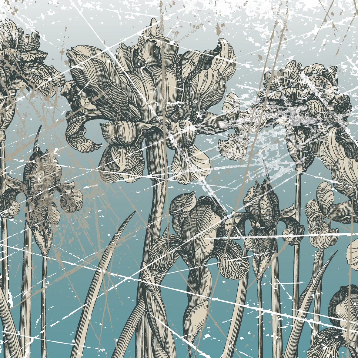 Herbarium