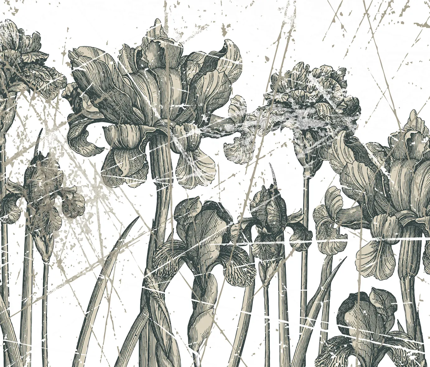 Wall&decò - Herbarium