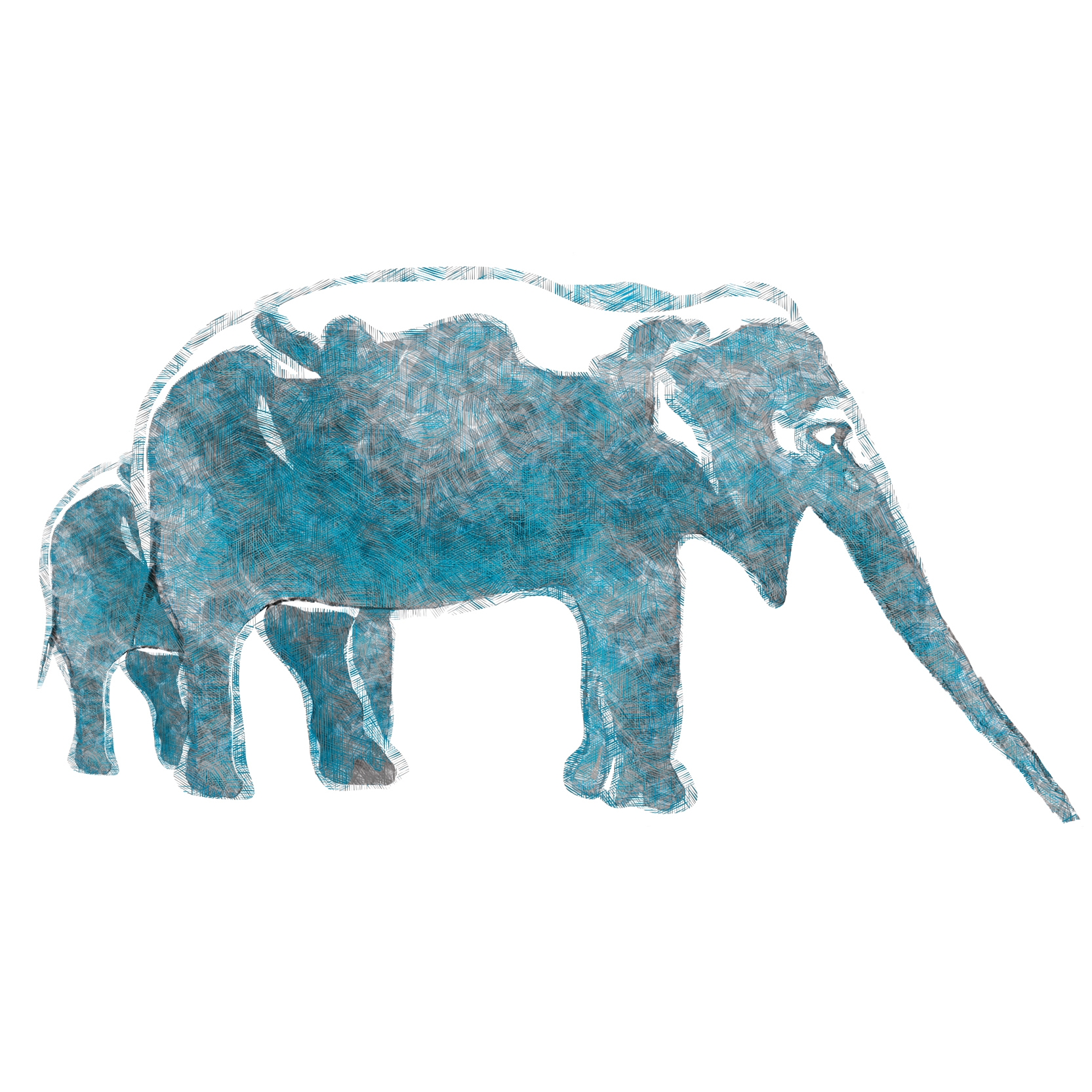Aqua Elephas