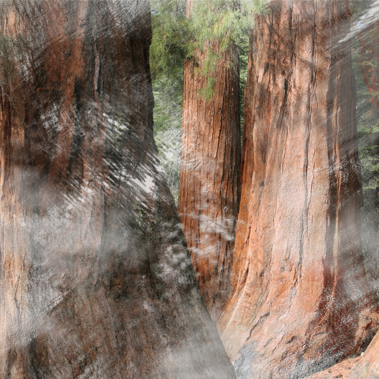 Display product Flake Off from manufacturer Wall&decò