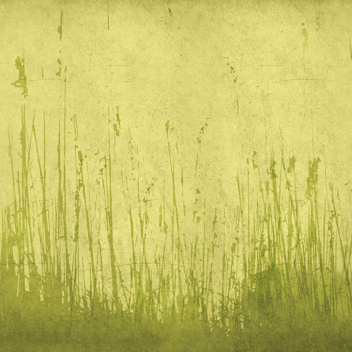 Mostrar el producto Shadows del fabricante Wall&decò