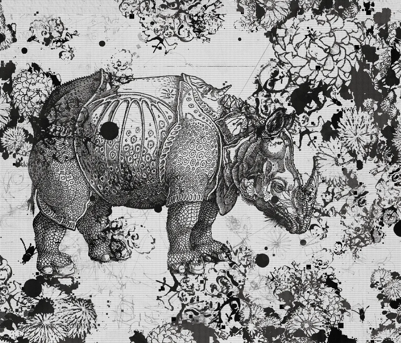 Wall&decò - Wunderkammer