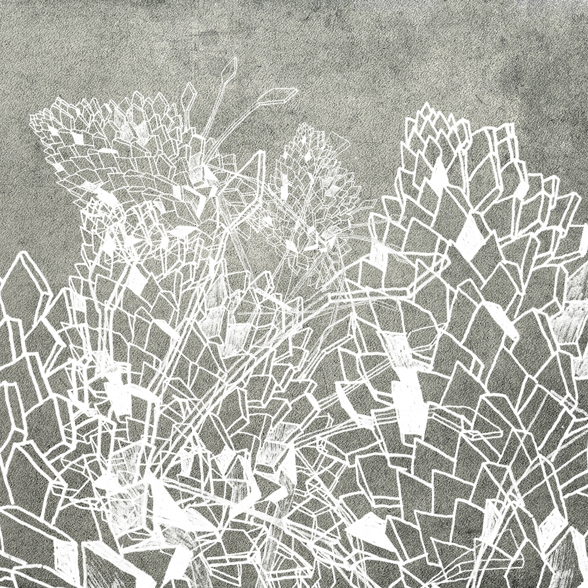 Afficher le produit Drawing du fabricant Wall&decò
