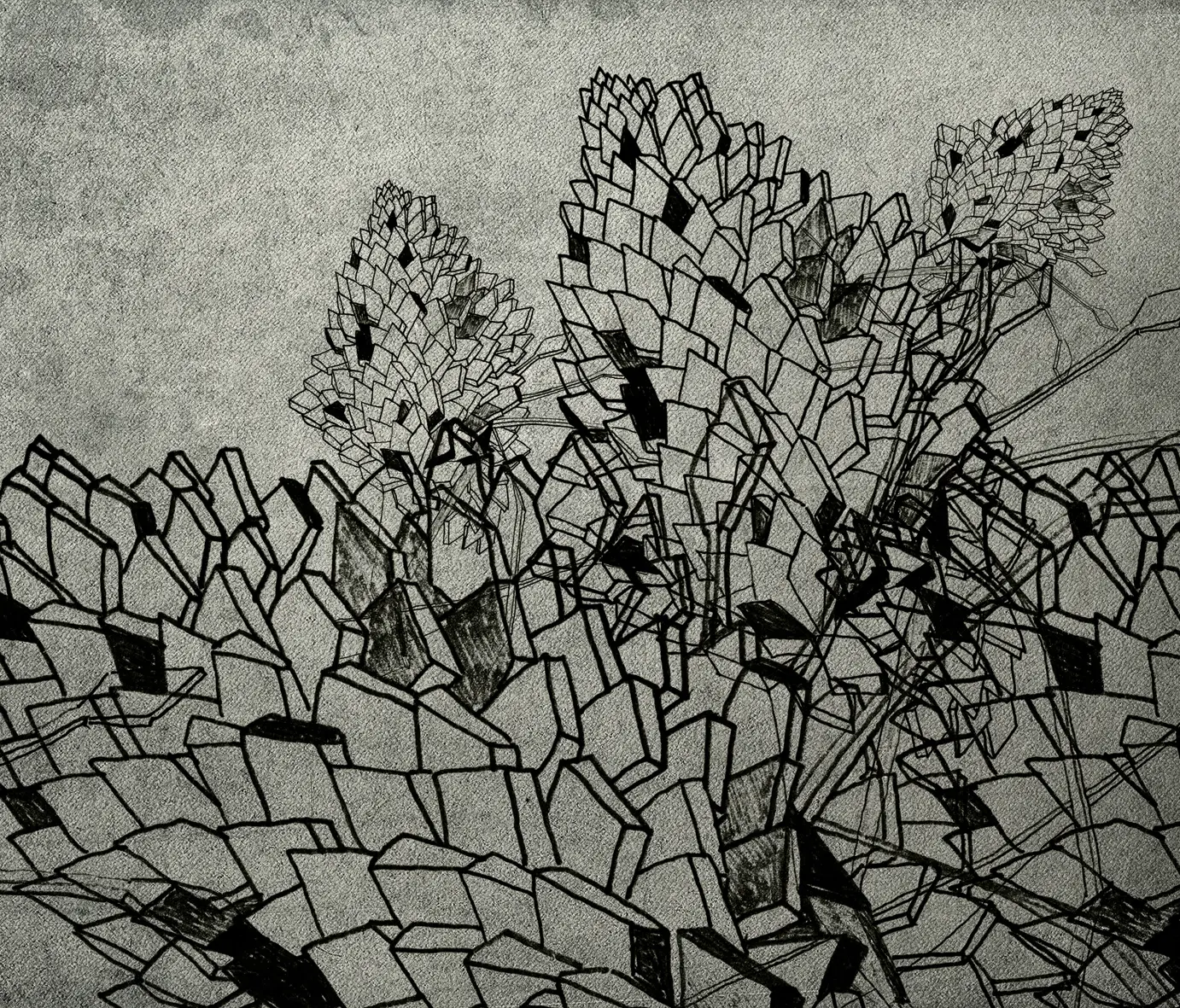 Wall&decò - Drawing