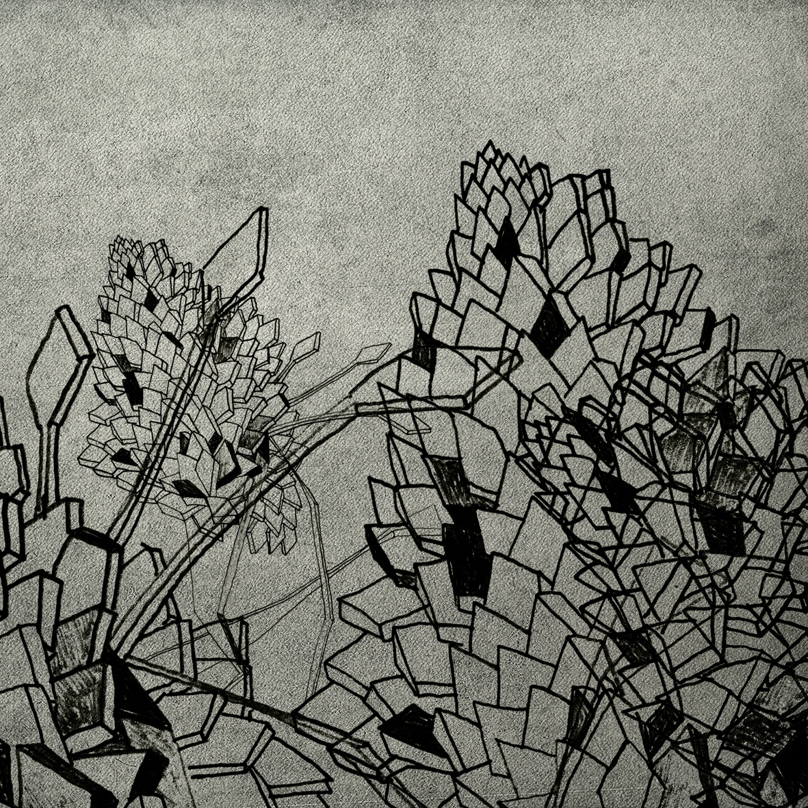 Vertoon produk Drawing van vervaardiger Wall&decò