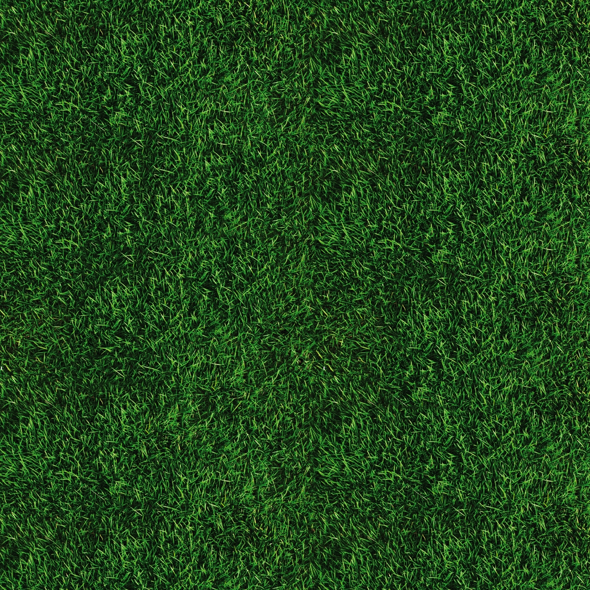 Vertoon produk Sensationalism van vervaardiger Wall&decò