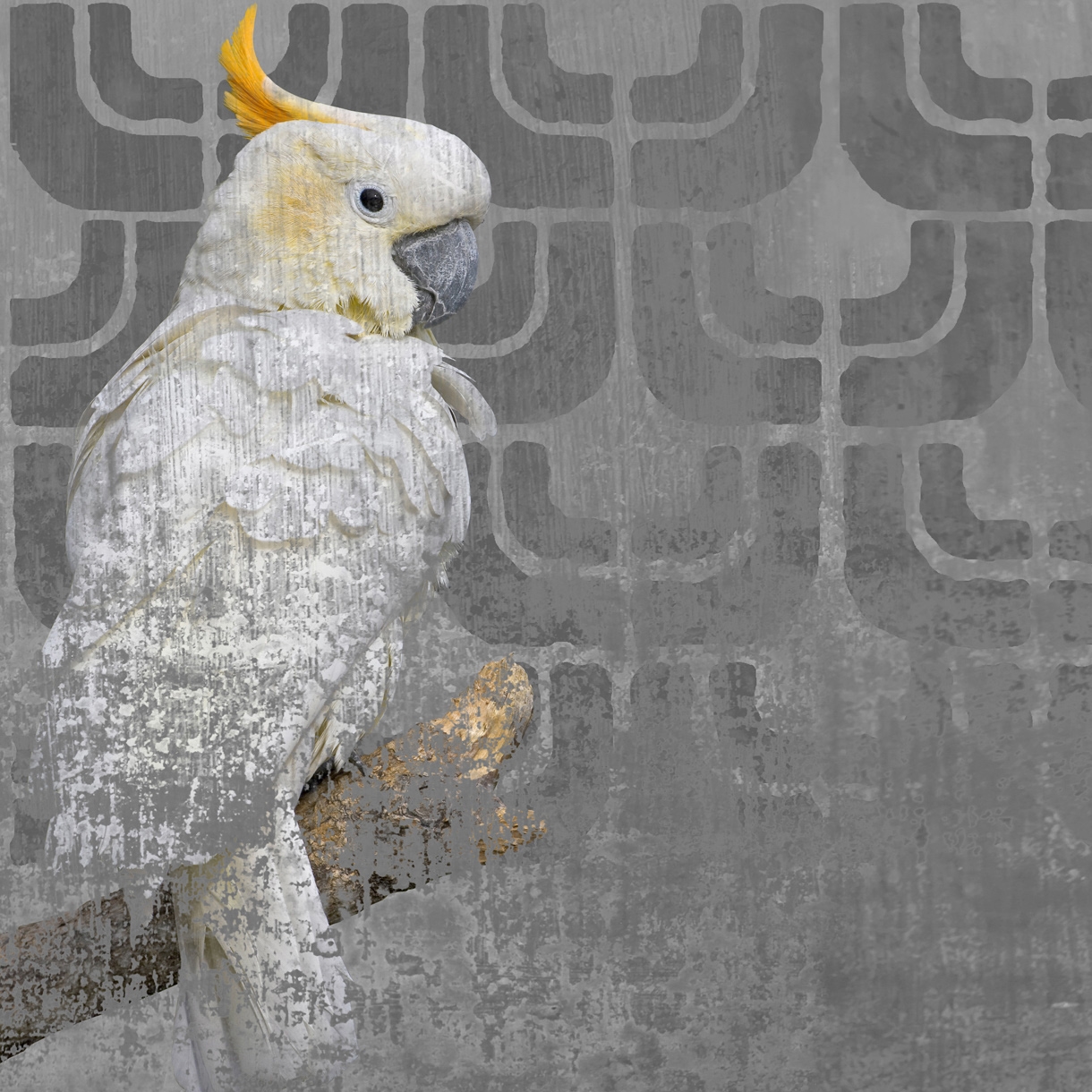 Display product Cockatoo from manufacturer Wall&decò