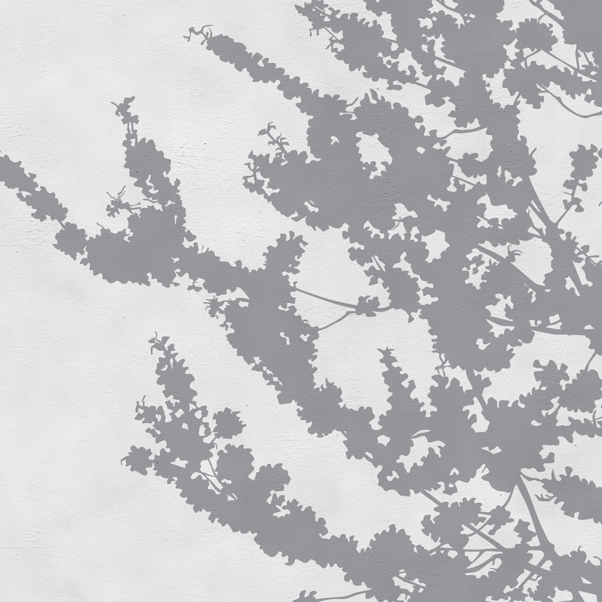 Display product Frush from manufacturer Wall&decò