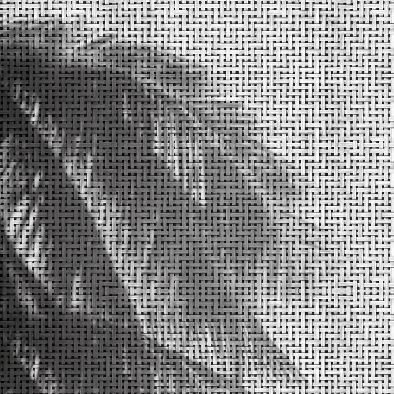 Coco Shadows