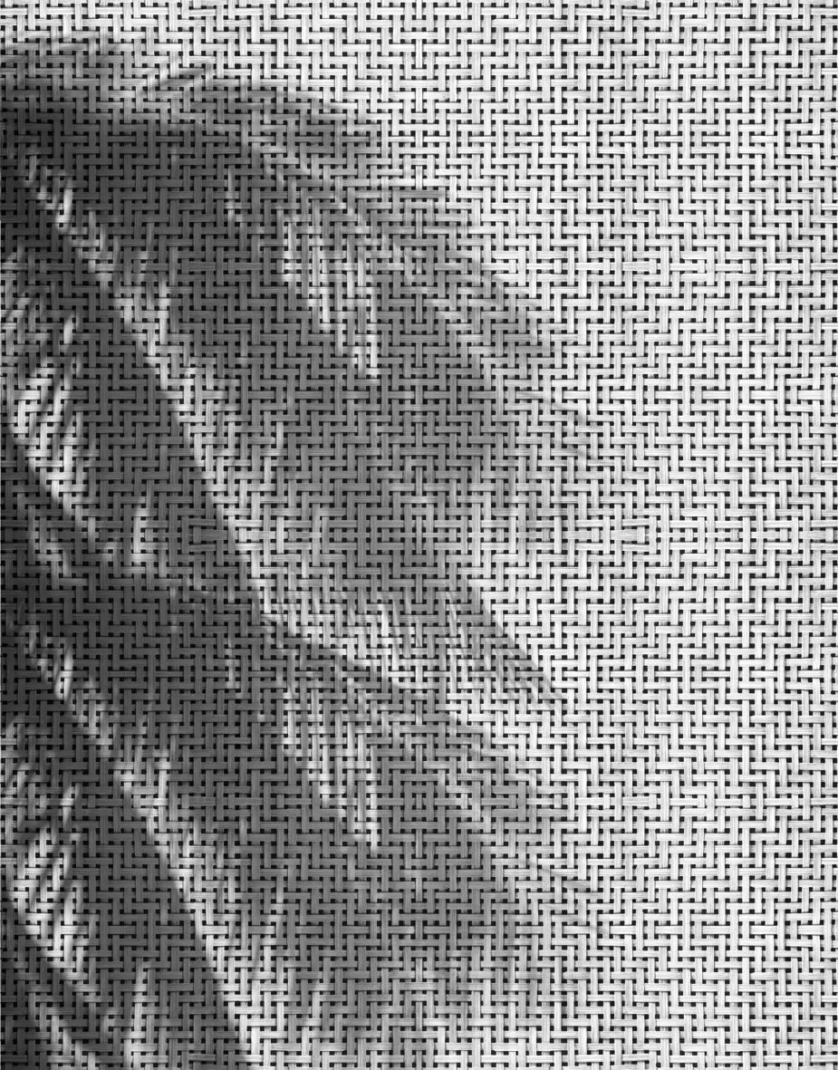 Wall&decò - Coco Shadows
