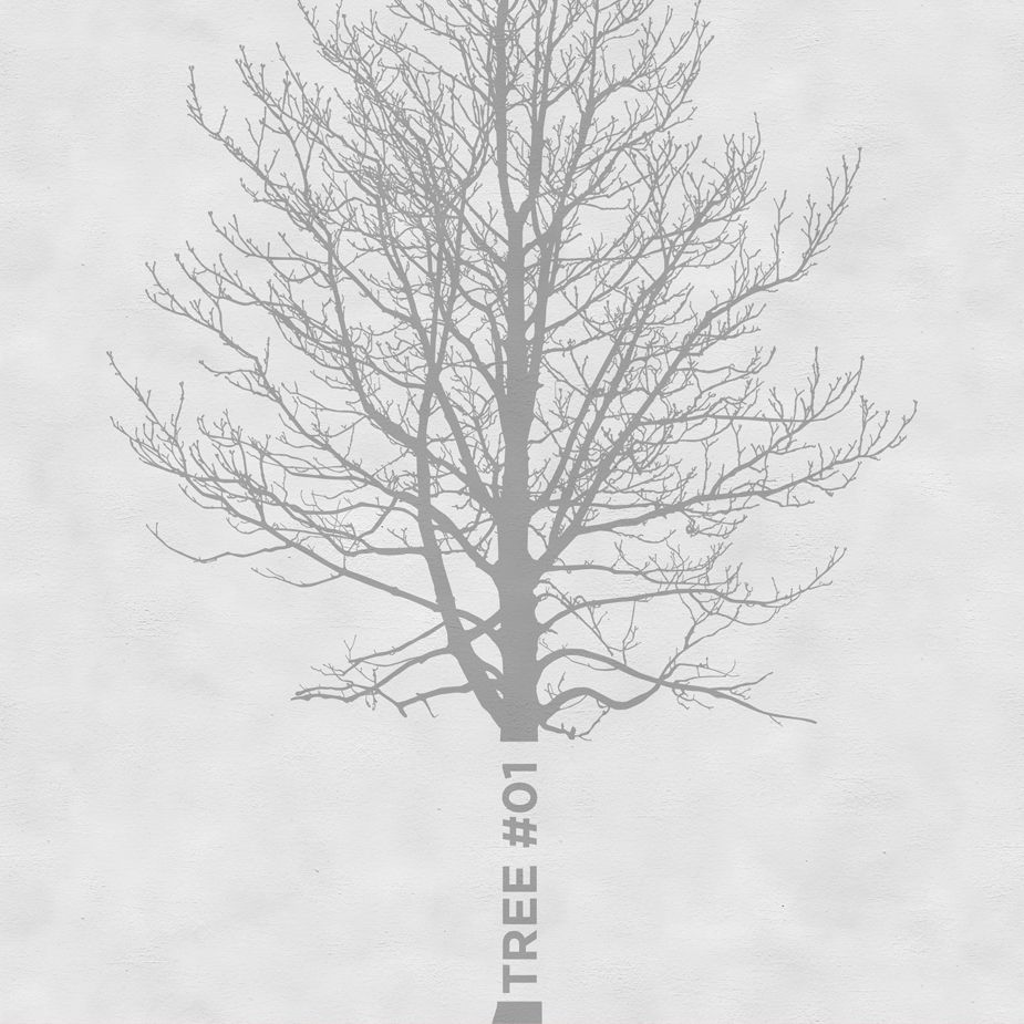 Display product Tree from manufacturer Wall&decò