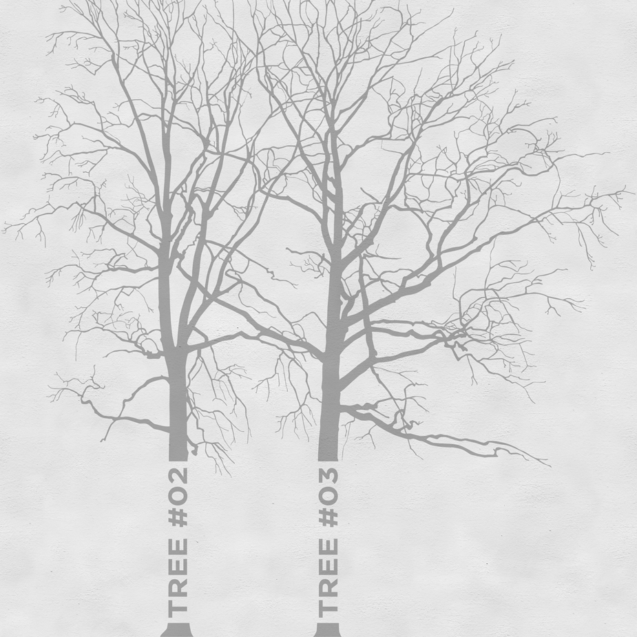 Display product Tree from manufacturer Wall&decò