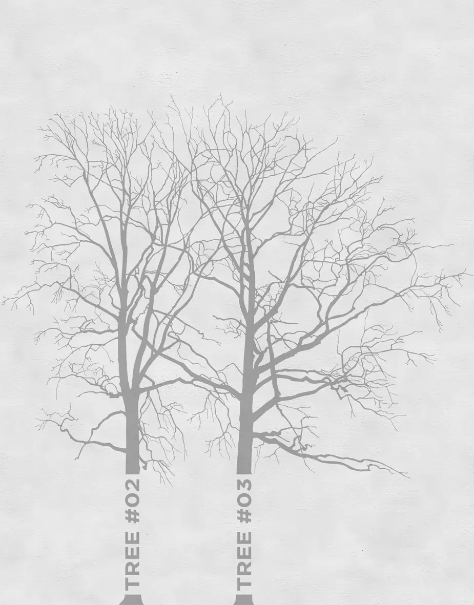 Wall&decò - Tree