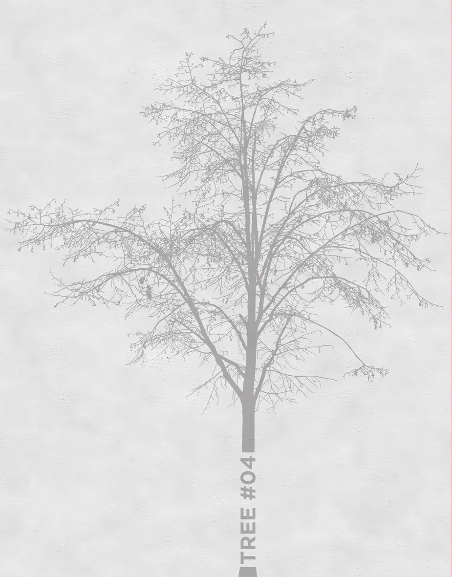 Wall&decò - Tree